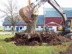 Stump Removal with Excavator