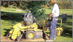 Range of Stump Grinders and Diggers Available